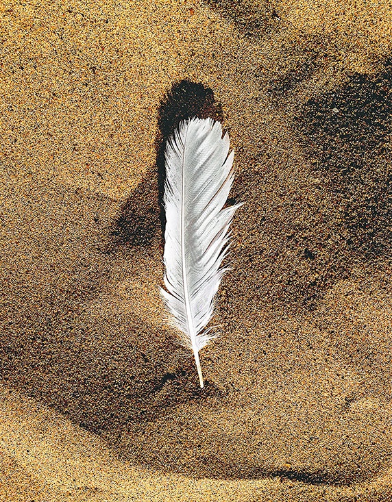 Иллюстрация к книге — Работа в процессе [i_053.jpg]