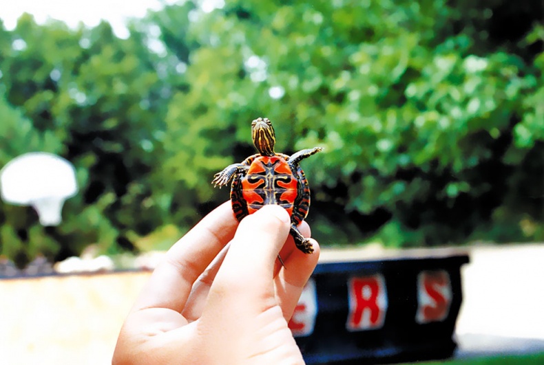 Иллюстрация к книге — Работа в процессе [i_054.jpg]