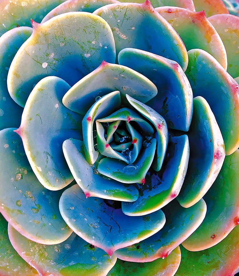 Иллюстрация к книге — Работа в процессе [i_055.jpg]