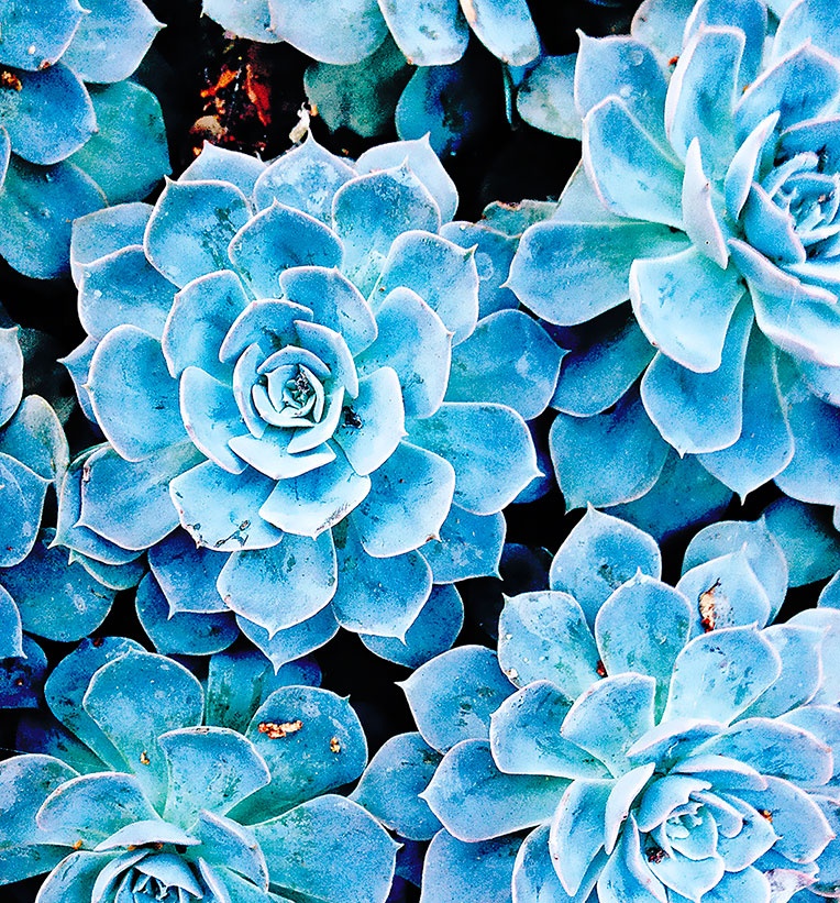 Иллюстрация к книге — Работа в процессе [i_057.jpg]