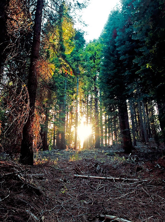 Иллюстрация к книге — Работа в процессе [i_059.jpg]