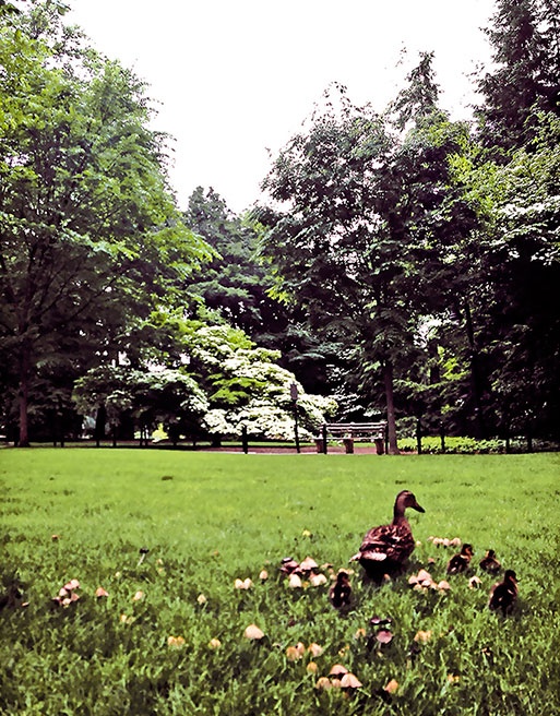 Иллюстрация к книге — Работа в процессе [i_071.jpg]