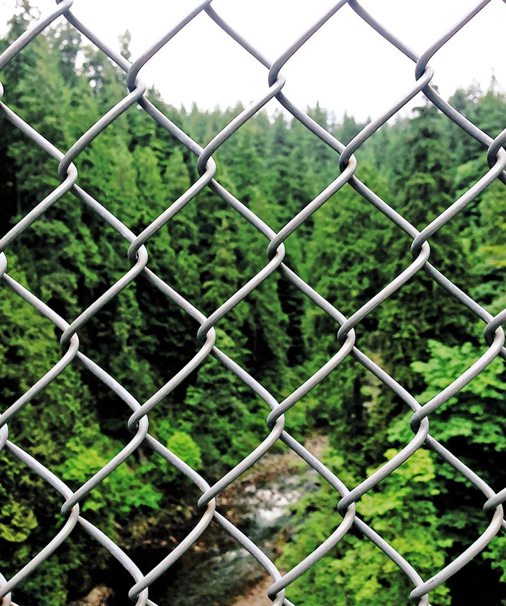 Иллюстрация к книге — Работа в процессе [i_076.jpg]