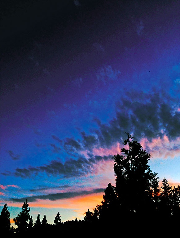 Иллюстрация к книге — Работа в процессе [i_077.jpg]