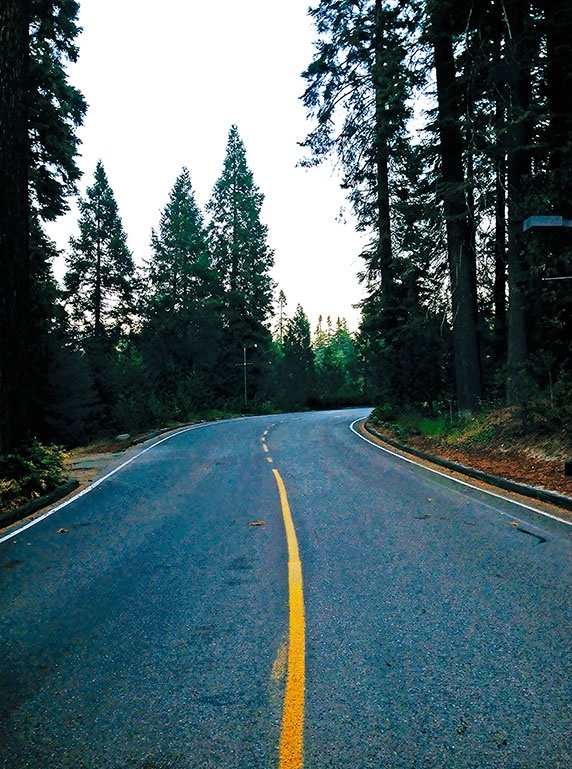 Иллюстрация к книге — Работа в процессе [i_088.jpg]