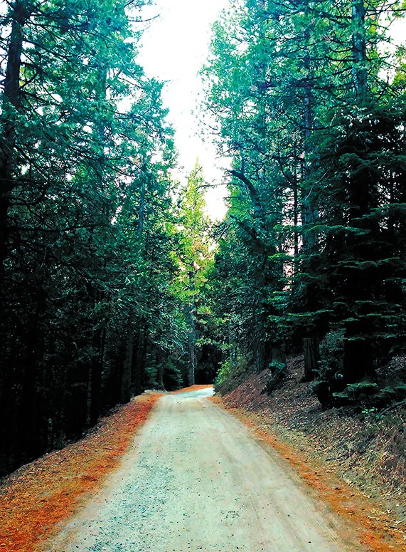 Иллюстрация к книге — Работа в процессе [i_089.jpg]