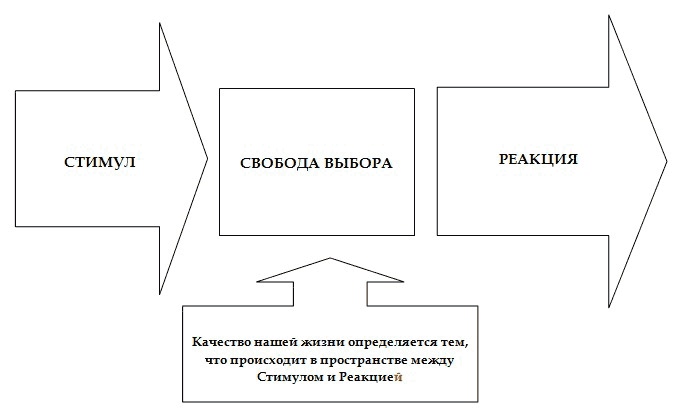 Иллюстрация к книге — Как стать корпоративным атлетом. Система управления работоспособностью и качеством жизни [i_002.jpg]