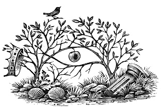 Иллюстрация к книге — Сказки о странных [pic_1.jpg]