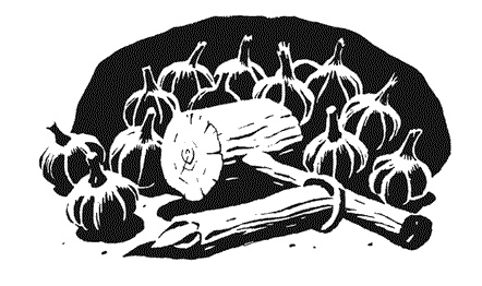 Иллюстрация к книге — Кровь Ведьмака [i_015.jpg]