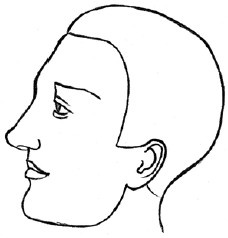 Иллюстрация к книге — Читаем лица. Физиогномика [i_008.jpg]