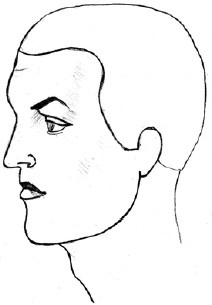 Иллюстрация к книге — Читаем лица. Физиогномика [i_010.jpg]