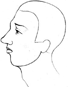 Иллюстрация к книге — Читаем лица. Физиогномика [i_019.jpg]