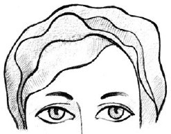 Иллюстрация к книге — Читаем лица. Физиогномика [i_067.jpg]