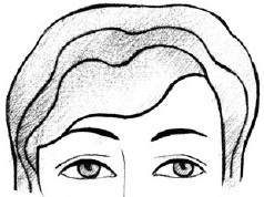 Иллюстрация к книге — Читаем лица. Физиогномика [i_069.jpg]