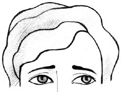 Иллюстрация к книге — Читаем лица. Физиогномика [i_070.jpg]