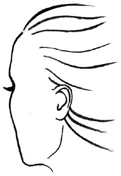 Иллюстрация к книге — Читаем лица. Физиогномика [i_150.jpg]