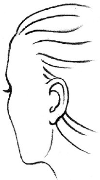 Иллюстрация к книге — Читаем лица. Физиогномика [i_154.jpg]