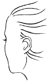 Иллюстрация к книге — Читаем лица. Физиогномика [i_159.jpg]