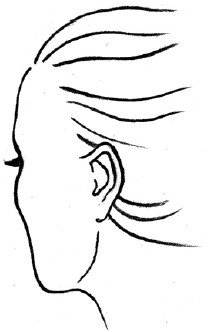 Иллюстрация к книге — Читаем лица. Физиогномика [i_160.jpg]