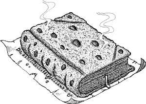 Иллюстрация к книге — Лабиринт Мечтающих Книг [_041.jpg]