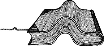 Иллюстрация к книге — Лабиринт Мечтающих Книг [_128.jpg]