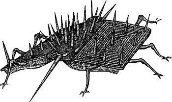 Иллюстрация к книге — Лабиринт Мечтающих Книг [_298.jpg]