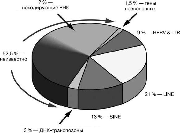 Иллюстрация к книге — Таинственный геном человека [i_004.jpg]