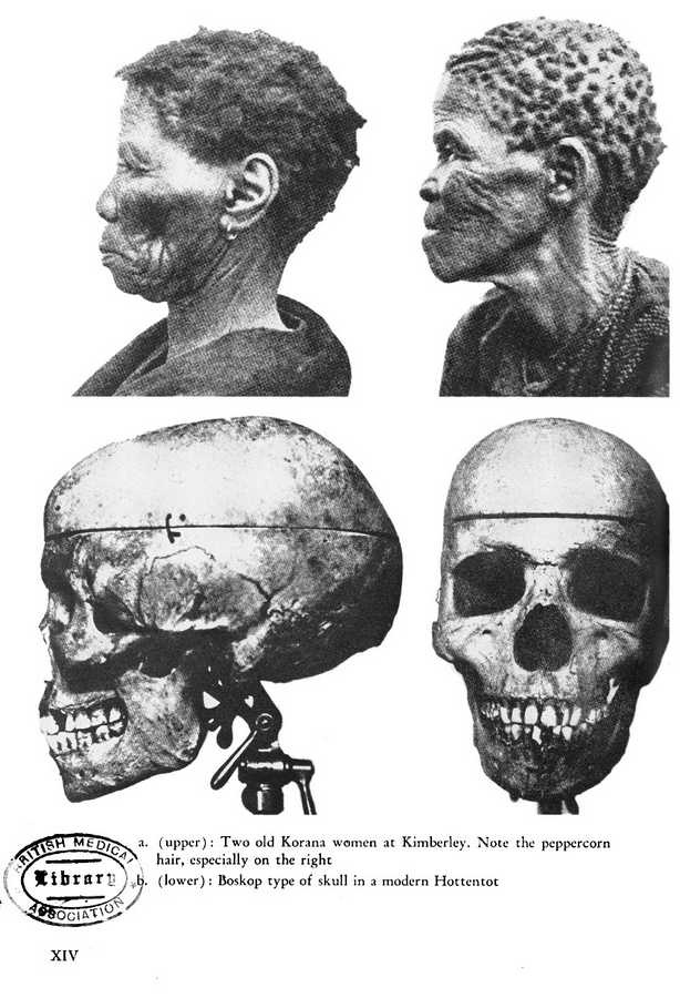 Иллюстрация к книге — Самые сенсационные материалы [_10.jpg]