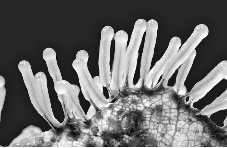 Иллюстрация к книге — Самые сенсационные материалы [_20.jpg]