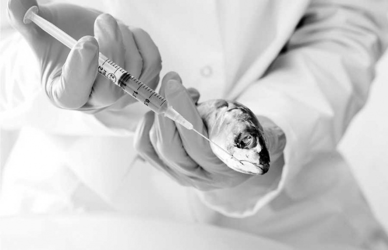 Иллюстрация к книге — Самые сенсационные материалы [_41.jpg]