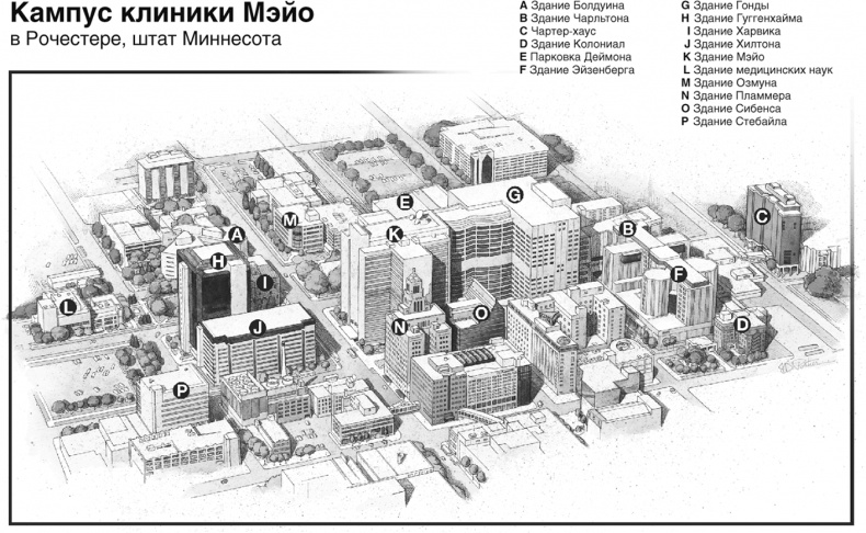 Иллюстрация к книге — Практика управления Mayo Clinic. Уроки лучшей в мире сервисной организации [i_025.jpg]