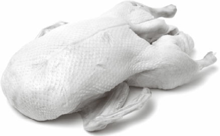 Иллюстрация к книге — Кухонные шпаргалки [_31.jpg]