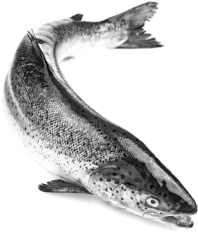 Иллюстрация к книге — Кухонные шпаргалки [_37.jpg]