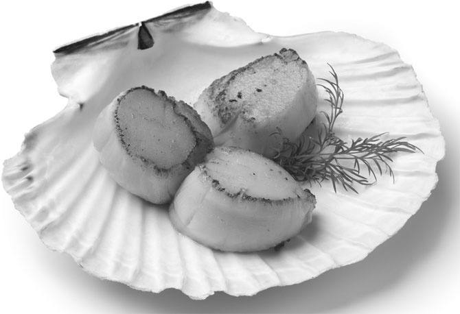 Иллюстрация к книге — Кухонные шпаргалки [_40.jpg]