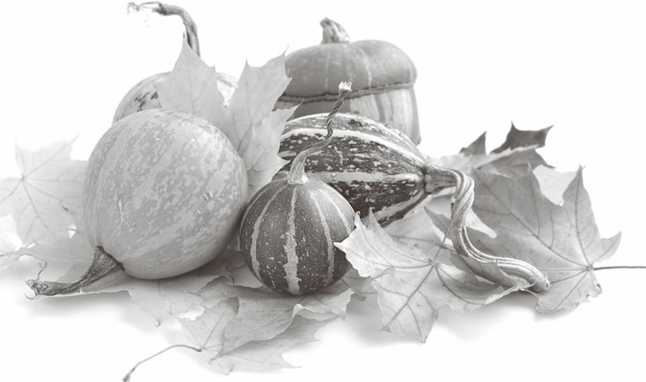 Иллюстрация к книге — Кухонные шпаргалки [_56.jpg]