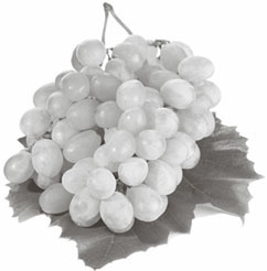 Иллюстрация к книге — Кухонные шпаргалки [_61.jpg]