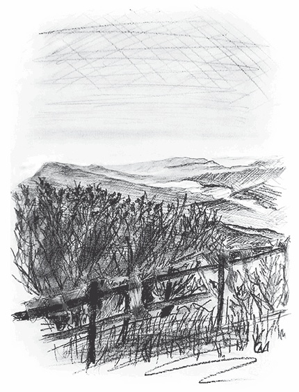 Иллюстрация к книге — Управляй удовольствием! Творчество, поведенческий маркетинг и корпорации [i_003.jpg]