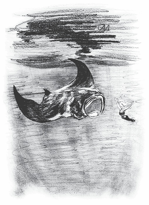 Иллюстрация к книге — Управляй удовольствием! Творчество, поведенческий маркетинг и корпорации [i_008.jpg]