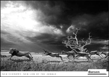 Иллюстрация к книге — Как придумать идею, если вы не Огилви [i_063.jpg]