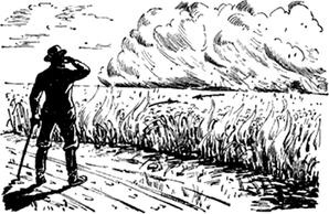 Иллюстрация к книге — Как придумать идею, если вы не Огилви [i_072.jpg]