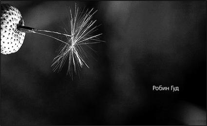 Иллюстрация к книге — Как придумать идею, если вы не Огилви [i_101.jpg]