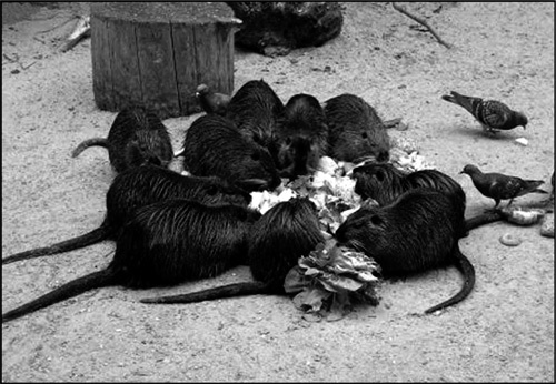 Иллюстрация к книге — Реклама. Игра на эмоциях [i_015.jpg]