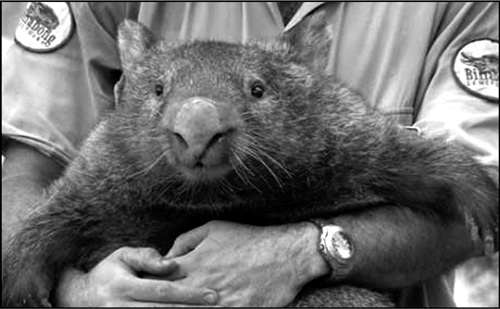 Иллюстрация к книге — Реклама. Игра на эмоциях [i_017.jpg]