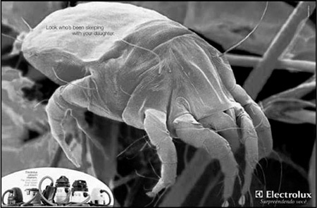 Иллюстрация к книге — Реклама. Игра на эмоциях [i_042.jpg]