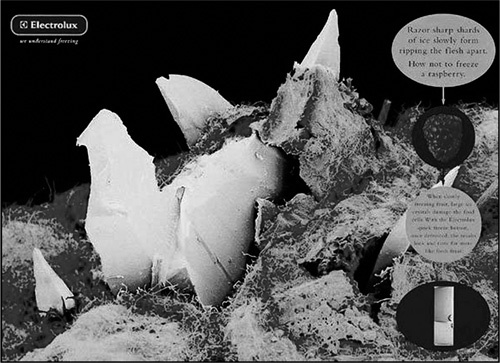 Иллюстрация к книге — Реклама. Игра на эмоциях [i_043.jpg]