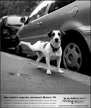 Иллюстрация к книге — Реклама. Игра на эмоциях [i_148.jpg]