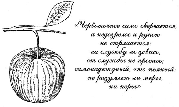 Иллюстрация к книге — 100 уроков лидерства А.В. Суворова для бизнеса [_178.jpg]