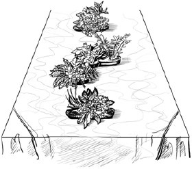 Иллюстрация к книге — Сценарии и организация корпоративных праздников [i_008.jpg]