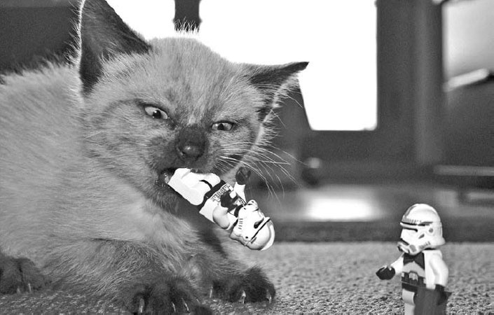 Иллюстрация к книге — Пользовательские истории. Искусство гибкой разработки ПО [_11.jpg]