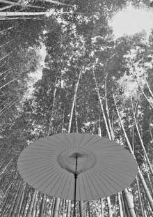 Иллюстрация к книге — Обнаженный оратор. Дао презентации [i_030.jpg]